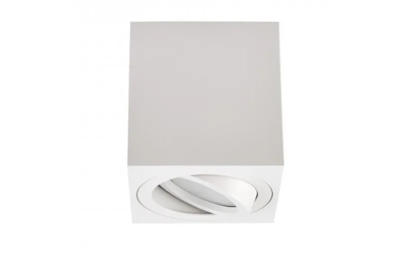 Arrediorg LAMPADA DA SOFFITTO IN METALLO ERBA W1