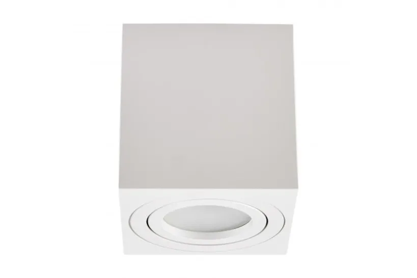 Arrediorg LAMPADA DA SOFFITTO IN METALLO ERBA W1